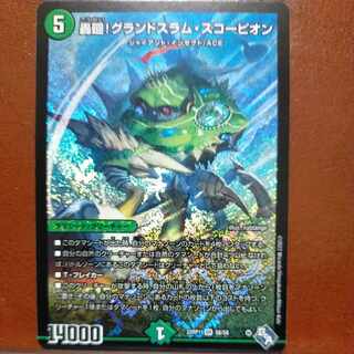 goa set discount roar around! Grand Slam Scorpion SR S8/S8