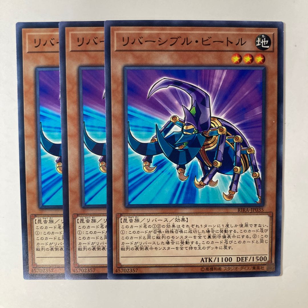 6721 Reversible Beetle ☆9356