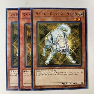 ライコウ V」の激安通販 | magi