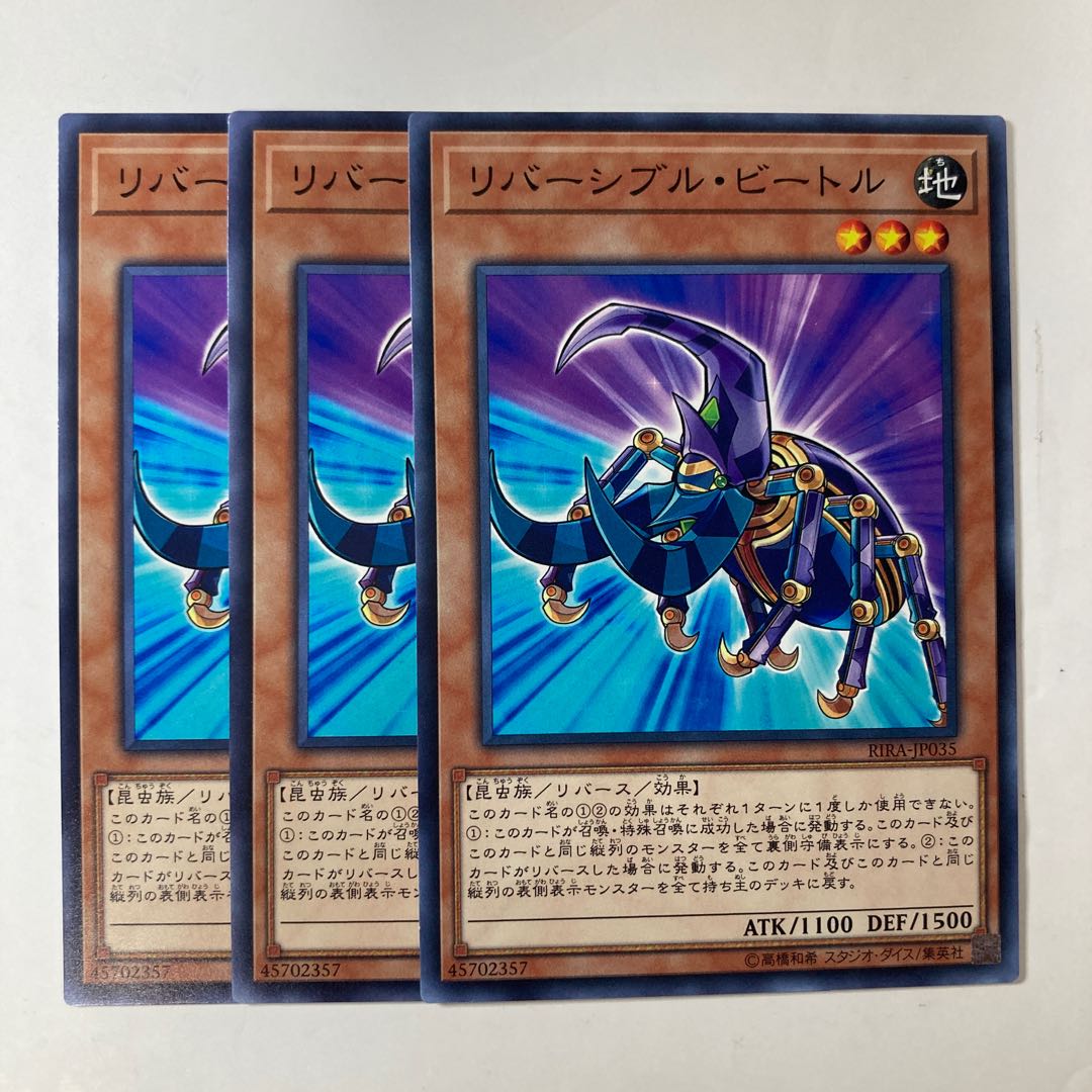 6731 リバーシブル・ビートル ノーマル JP035