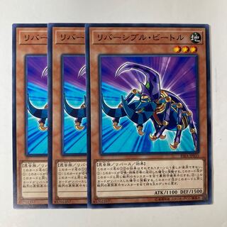 6731 リバーシブル・ビートル ノーマル JP035