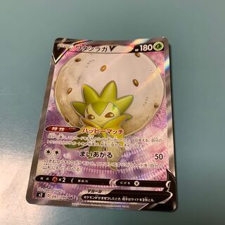 ワタシラガV SR 097/096