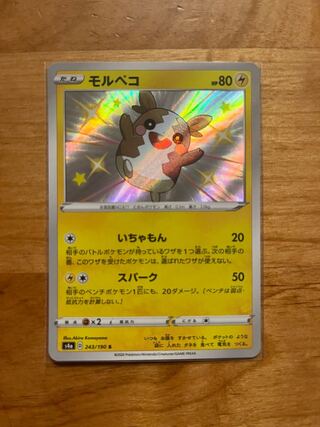 モルペコ S 243/190