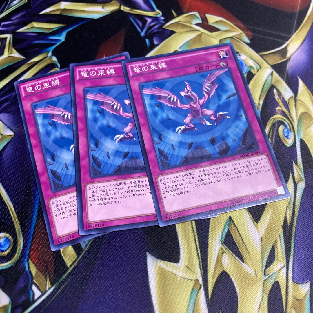 Dragon's Bind 3-piece set 104