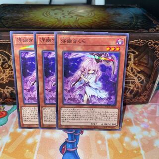 No.1107 P屋　浮幽さくら 【パラ】