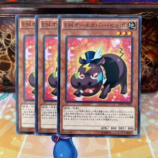 No.1110 P屋　EMオールカバー・ヒッポ 【ノー】