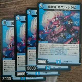 Kakushi Recipe C 87/110