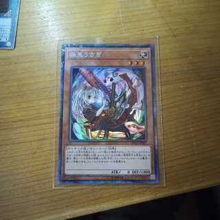 幽鬼うさぎ コレクターズレア