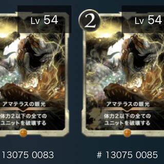 アマテラスの眼光（2枚セット）