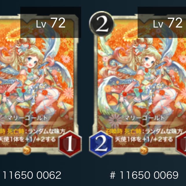 マリーゴールド（2枚セット）