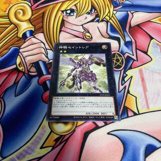 Sky Cavalry Centaurea Normal