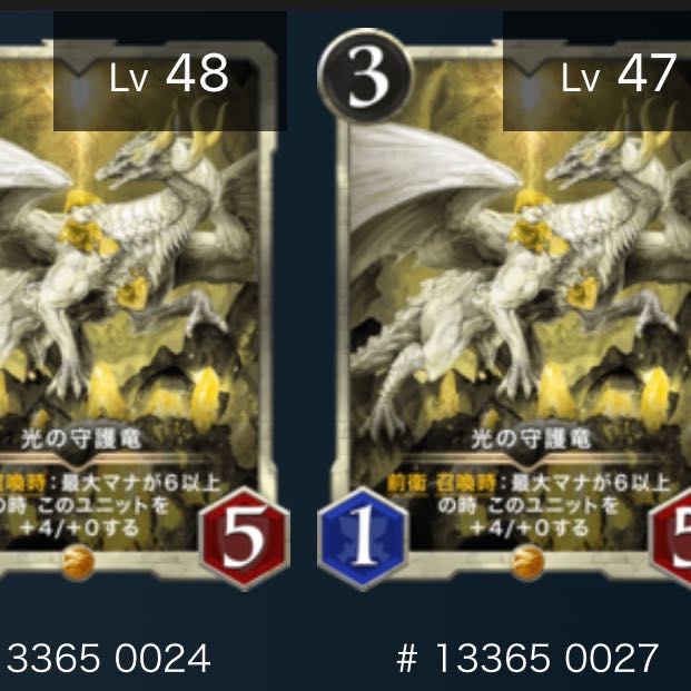 光の守護竜（2枚セット）