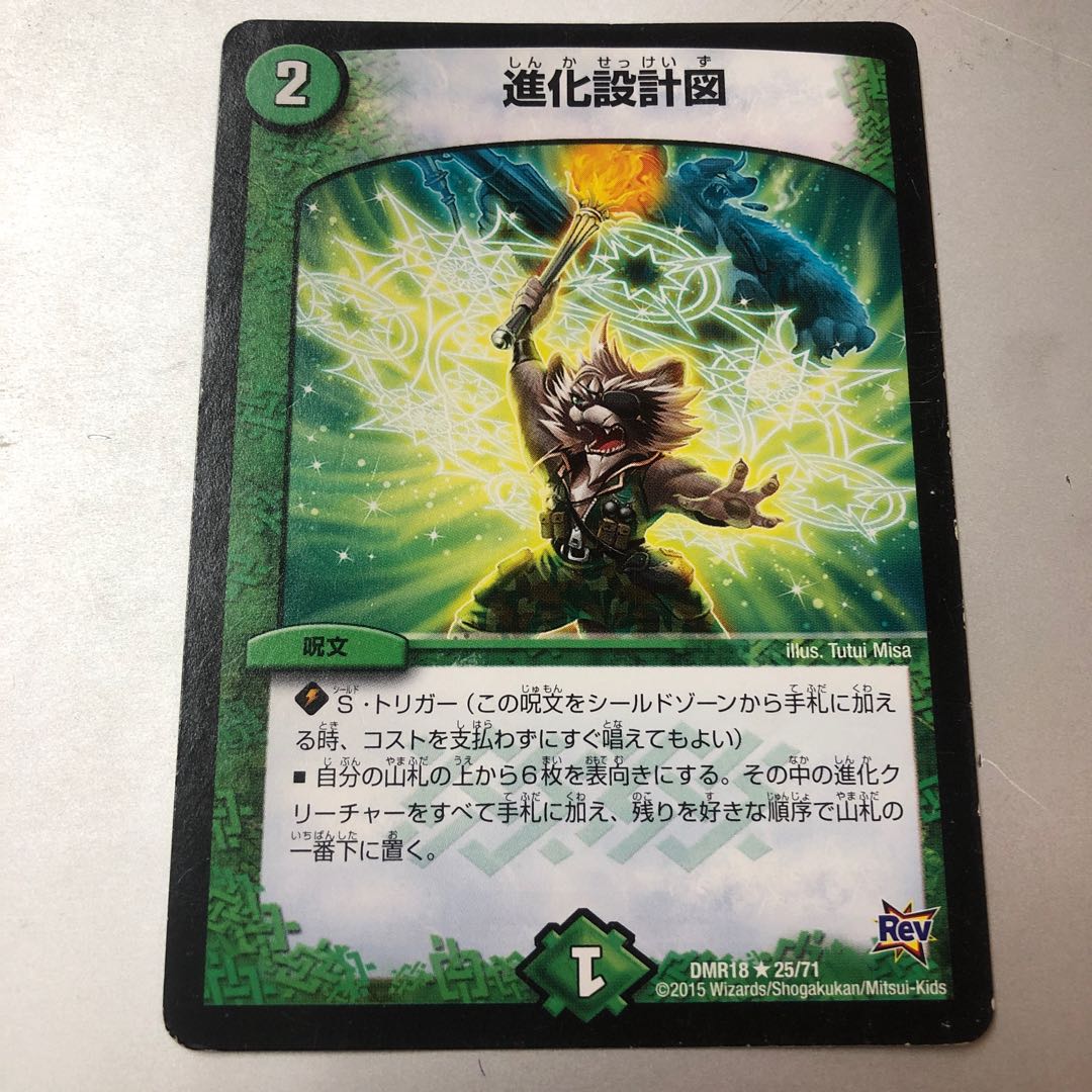 Evolutionary blueprint R 25/71