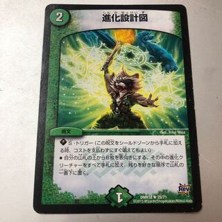 進化設計図 R 25/71