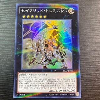 Sacred Tremis M7 Worn Item