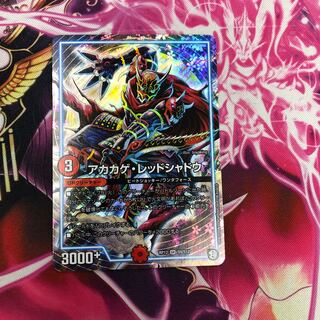 アカカゲ・レッドシャドウ 最安値