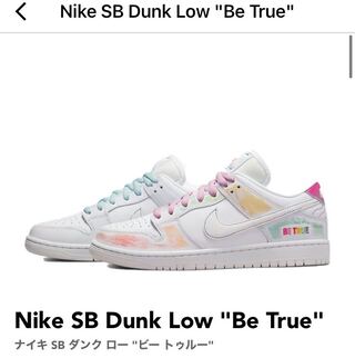 NIKE SB DUNK Beture 28cm New and unused 28cm