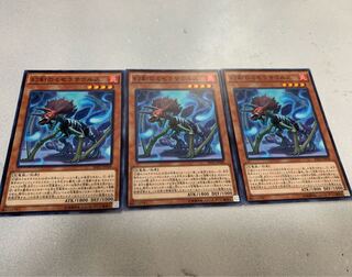 幻創のミセラサウルス3枚セット