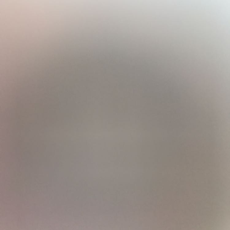 デアドラ様専用 1枚