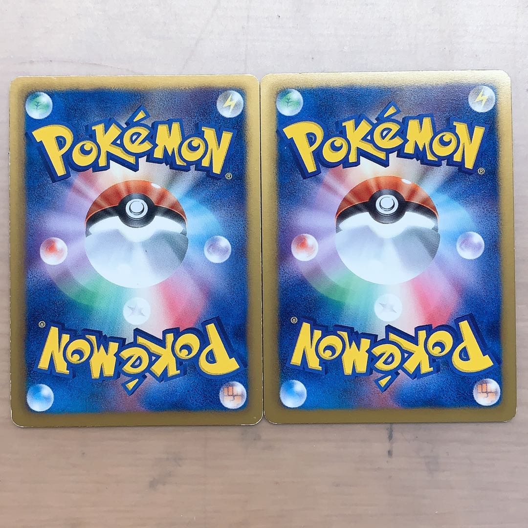 ダストダス 2枚【特価】