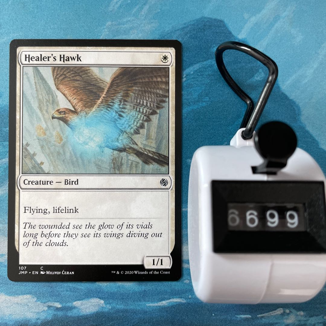 MTG 4-card Healer's Hawk