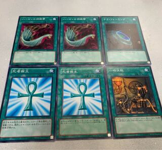 ハーピィの羽根帚