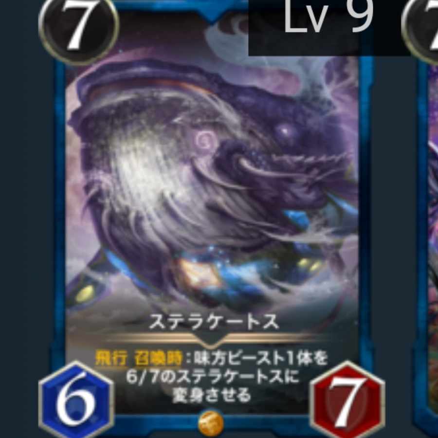 ステラケートス1枚