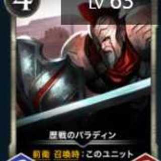 歴戦のパラディン