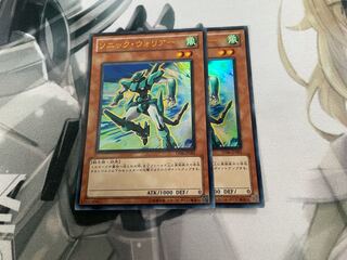 Sonic Warrior Ultra Rare JP001