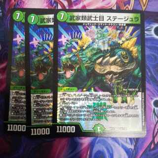 武家類武士目 ステージュラ VR 14/110