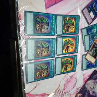 強欲で金満な壺　シク1　スー5