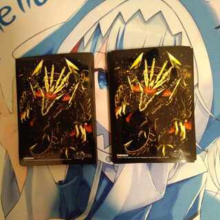 Dolan Gorgini Sleeve