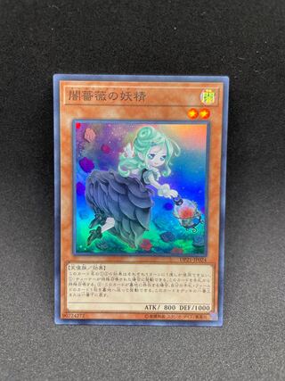 Dark Rose Fairy Super Rare JP024