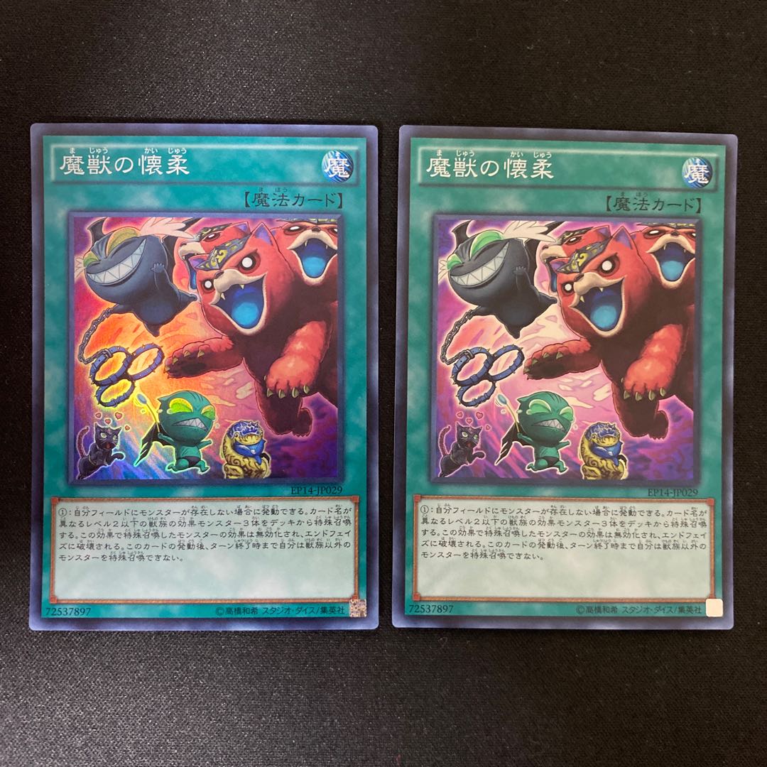 Obedience Schooled Super Rare JP029