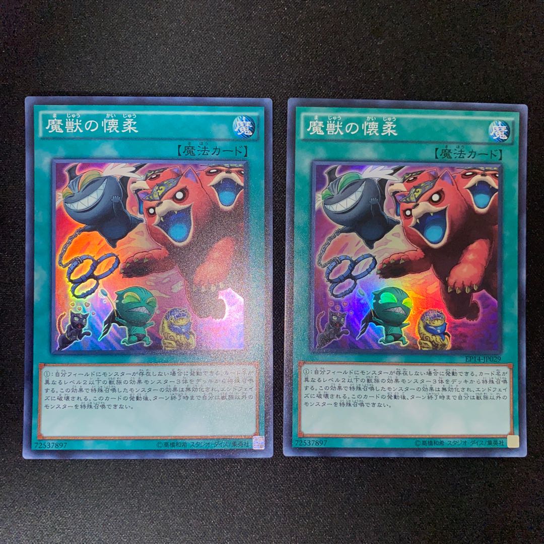 Obedience Schooled Super Rare JP029