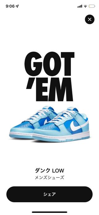 ナイキ ダンク ロー レトロ QS "アルゴン" (2022) 29cm