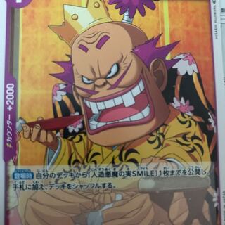 Japanese carpenter bee (Xylocopa appendiculata circumvolans)