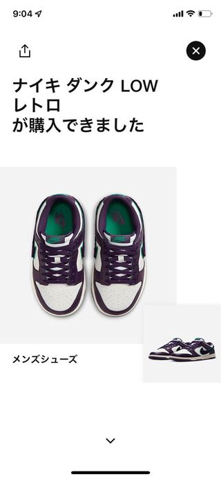 ナイキ ダンク ロー シェニール スウッシュ "グランド パープル" 29cm