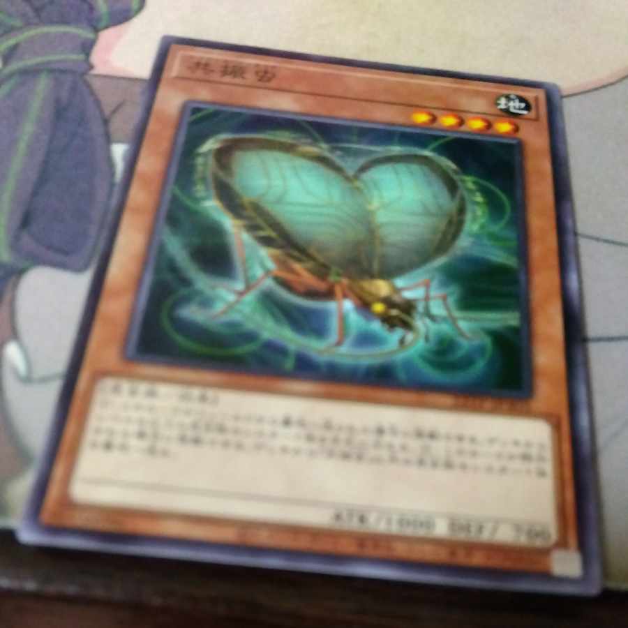 Resonance Insect Normal JP039