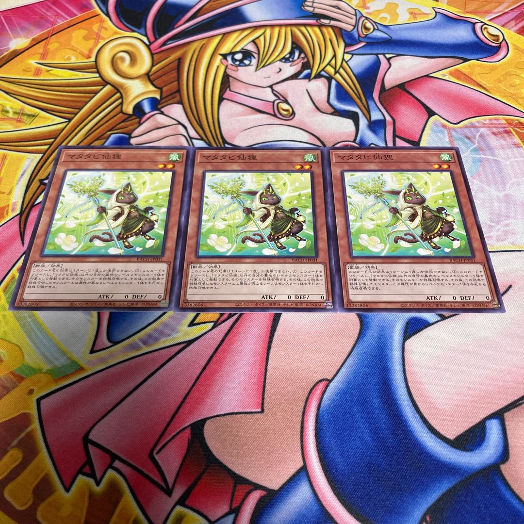 Matatabi sengan tanuki normal JP031