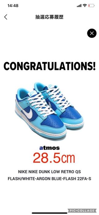 Nike Dunk Low Retro QS "Argon" ダンク　ロー　アルゴン 28.5cm