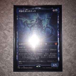 深海住まいのタッサ　ショーケース