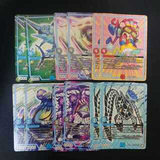 Rocky Rock CarapaceTS-10 etc. 12 GR