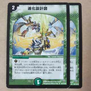 進化設計図　2枚　傷あり