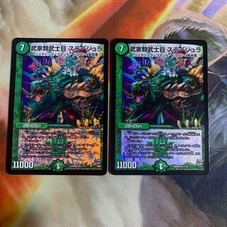 Samurai family Samurai order Stejura VR 7/70