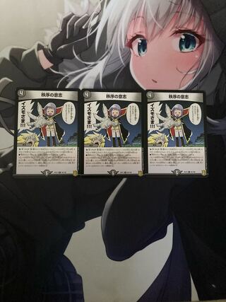 秩序の意志 R 35/110