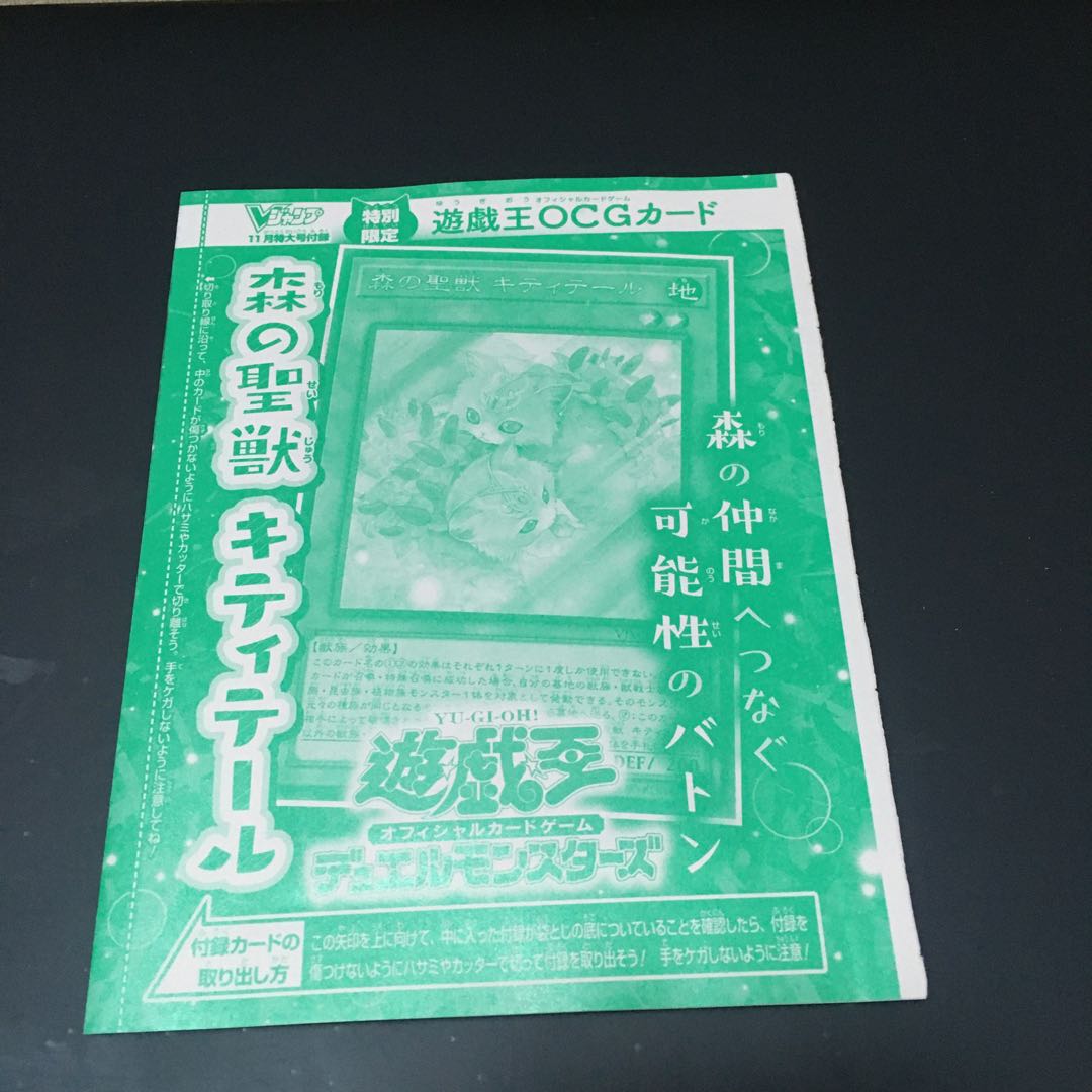 Holy Beast of the Forest Kitty Tale