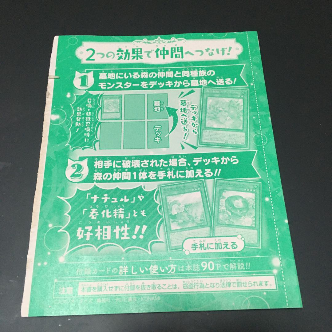 Holy Beast of the Forest Kitty Tale