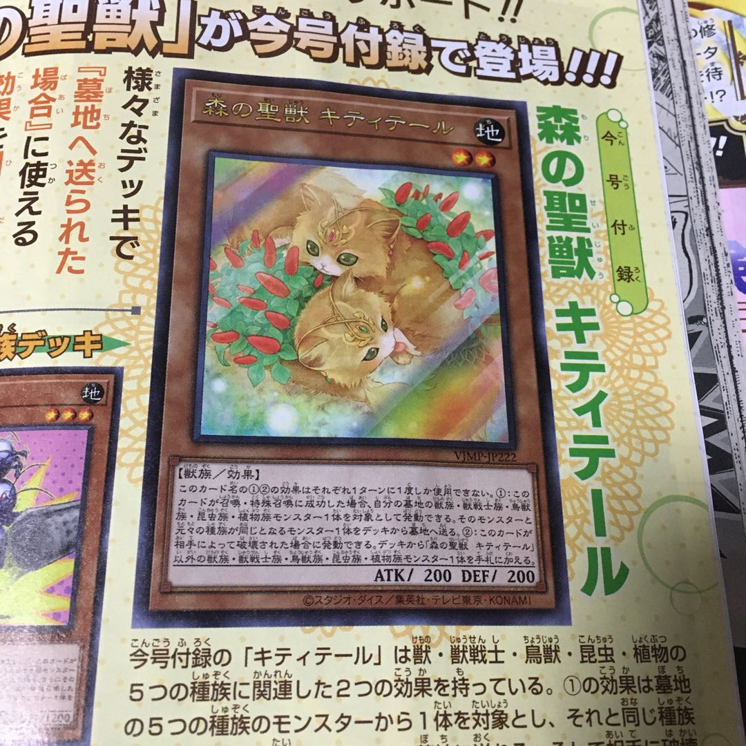 Holy Beast of the Forest Kitty Tale