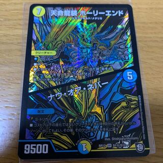 ナウオアネバー　シク